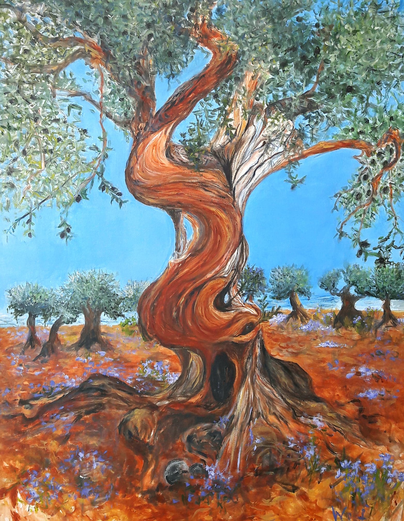 Tangoolivenbaum